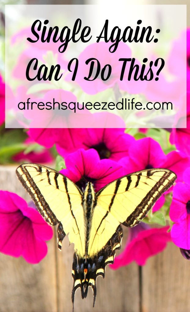 When I first walked into single life after my divorce, the biggest question on my mind was "can I do this"? My answer to you is "yes" you absolutely can!